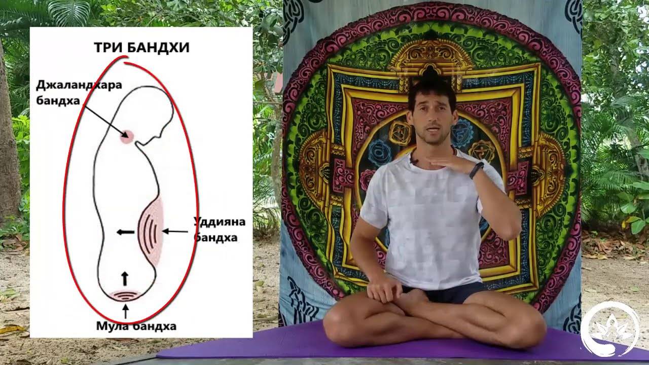 Бандхи в йоге: замки тела. основные бандхи техника выполнения