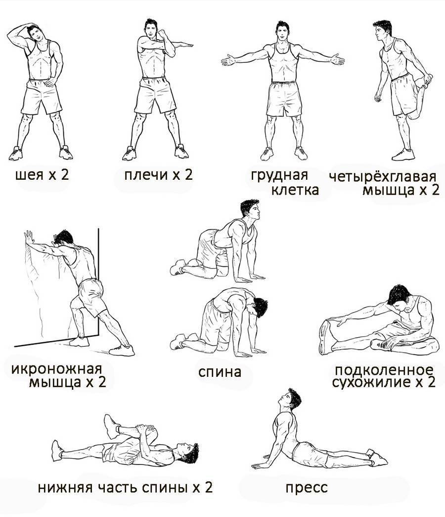 Тянем мышцы: как правильно делать растяжку