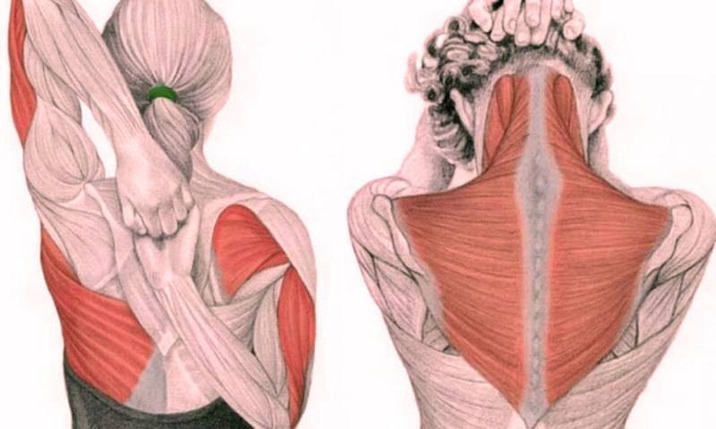 Боль в шее (шейном отделе) - причины, симптомы, лечение