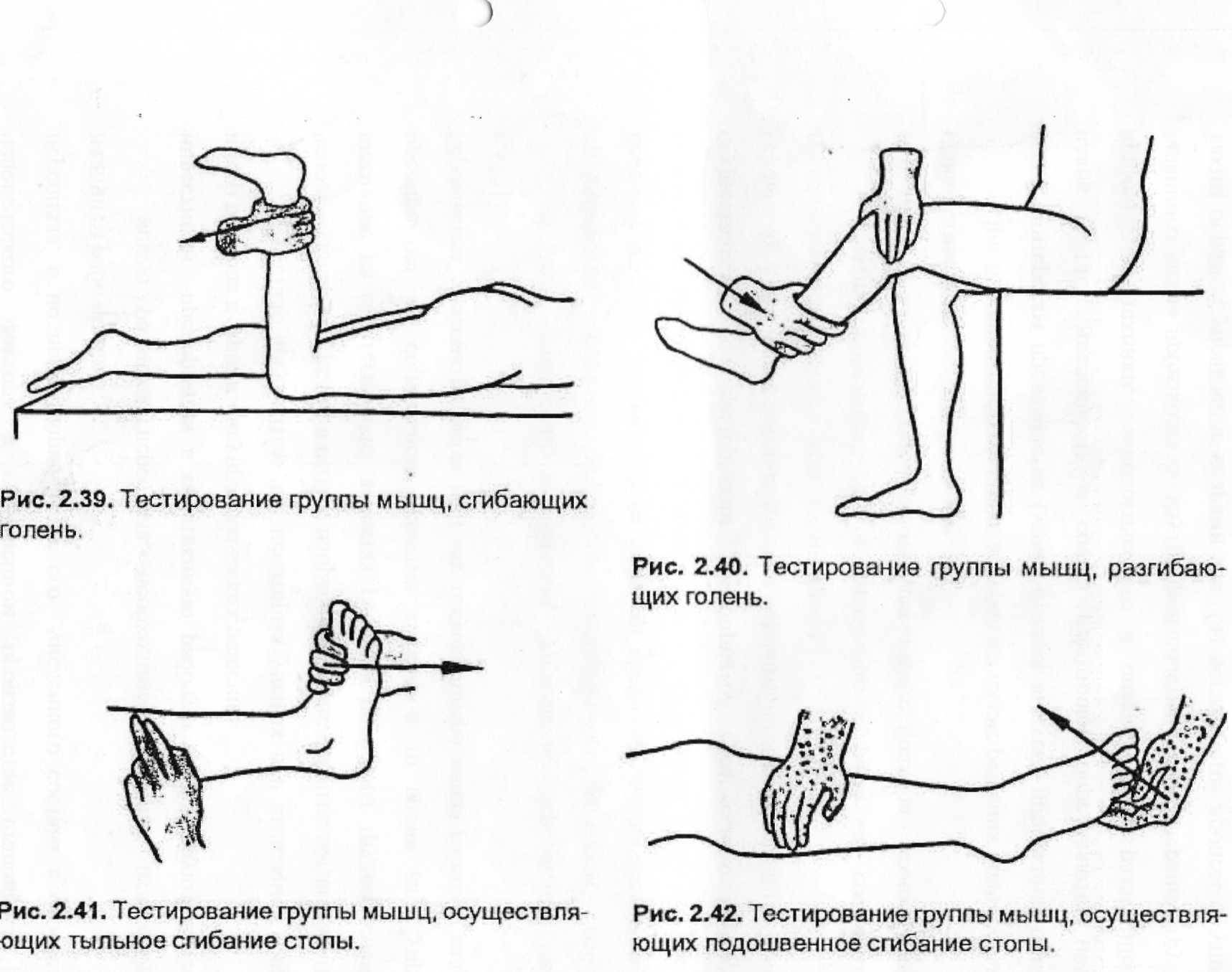 Гимнастика и массаж при нарушении цнс у детей - «доктор гален» консультация ортопеда, травматолога, ревматолога. обследование. лечение. медицинские изделия.