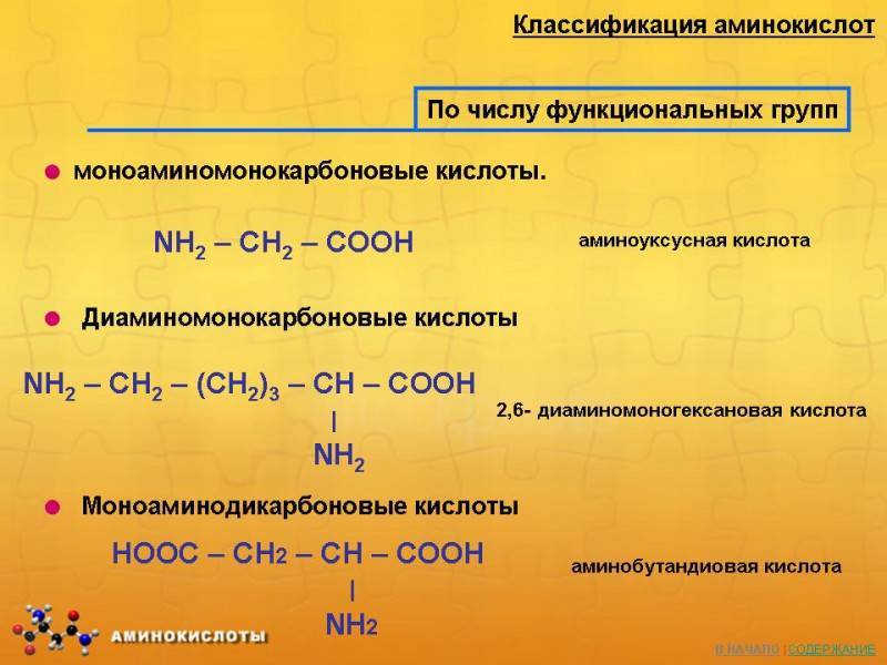 Как принимать аминокислоты: виды, правила приема, противопоказания - tony.ru