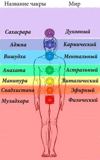 Семь основных чакр человека: их расположение, цвета, значение и открытие
семь основных чакр человека: их расположение, цвета, значение и открытие