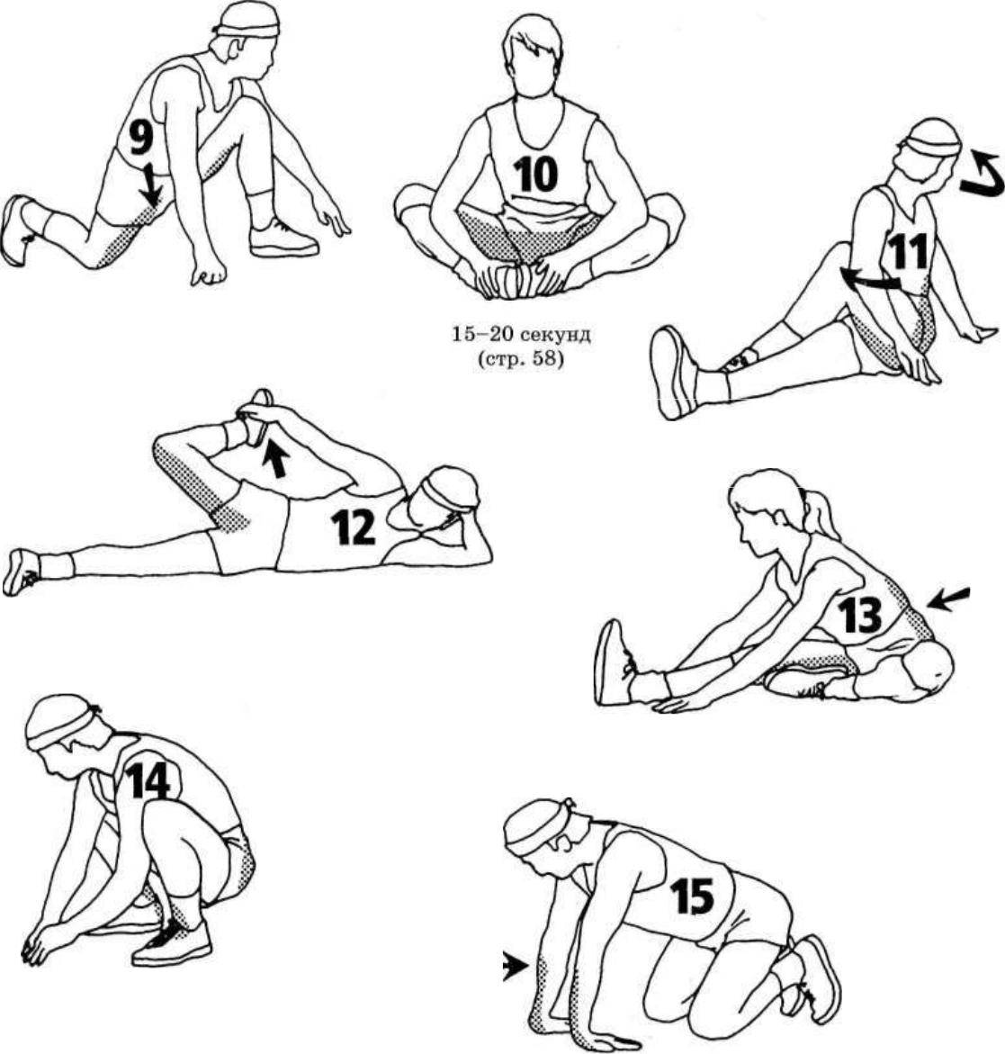 Стретчинг для растяжки мышц: виды, правила, комплекс упражнений