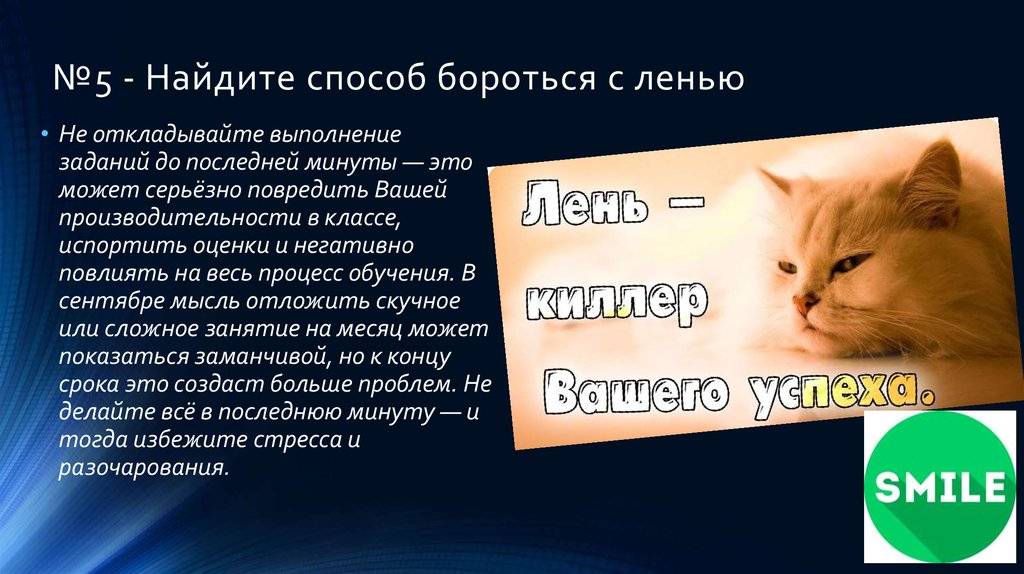 Как побороть лень: 20 лучших способов - академия успеха
