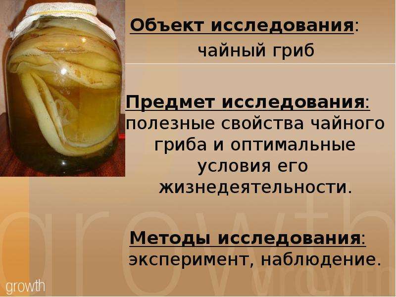 Чайный гриб: полезные и вредные свойства | food and health
