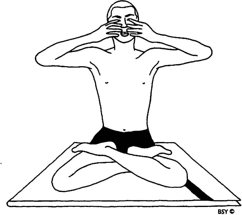 Пранаяма для начинающих: техника дыхания при выполнении упражнений (плюс видео)менс физик — пляжный бодибилдинг — men`s physique