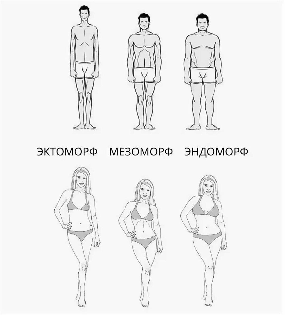 Эктоморф с лишним весом и животом — как правильно худеть?