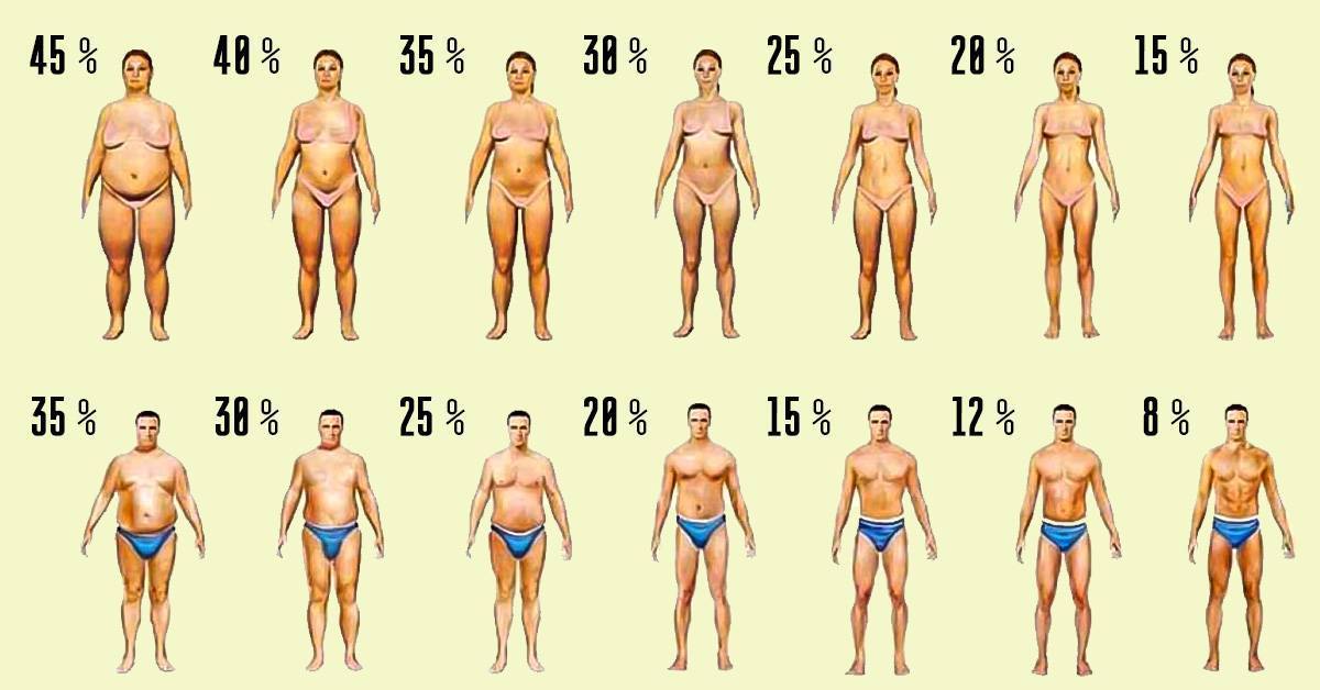 Как определить процент жира в организме: самостоятельное измерение, калькуляторы, медицинские методы