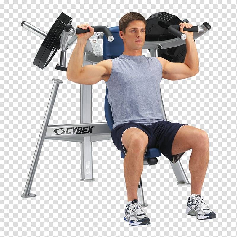 Тренировка плеч в тренажерном зале: упражнения на плечи в зале для мужчин