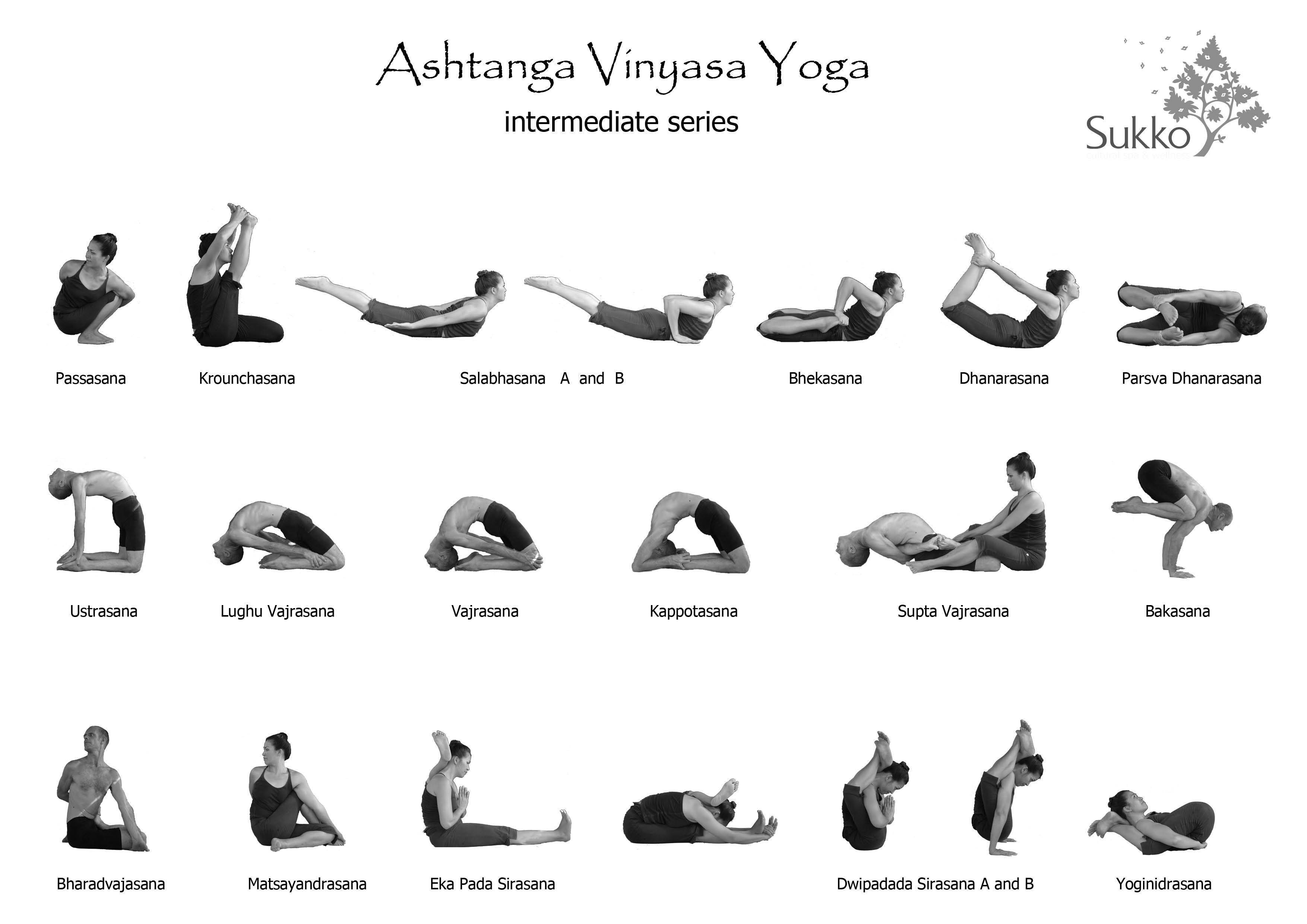 Аштанга виньяса йога - энциклопедия йоги и аюрведы