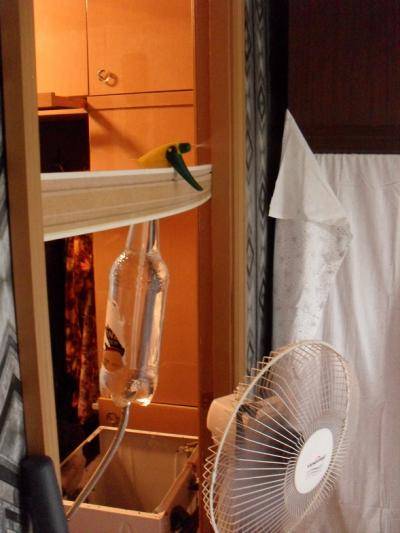 12 способов спастись от жары в доме без кондиционера