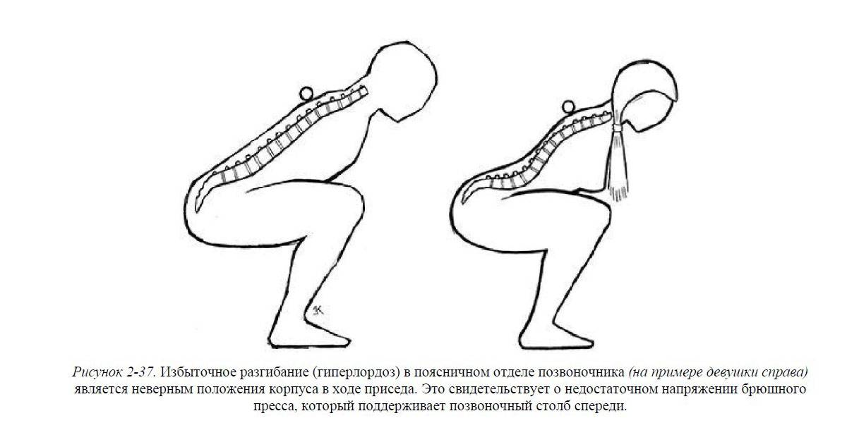 О «прямой» и «кривой» спине, тягах, приседах и о том, чего нужно опасаться на самом деле | fpa