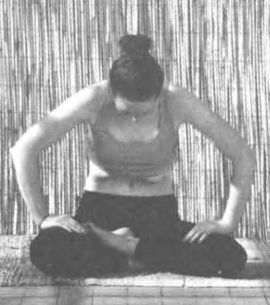Аштанга-виньяса йога для начинающих, видео уроки