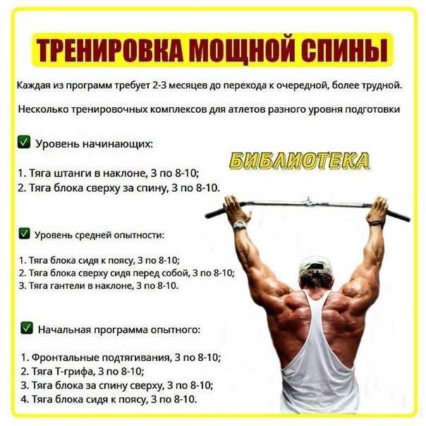 Программа тренировок на плечи в тренажерном зале - tony.ru
