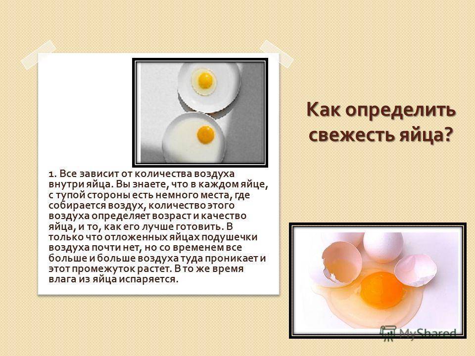 Вредно ли есть яйца каждый день и вредны ли яйца из-за холестерина