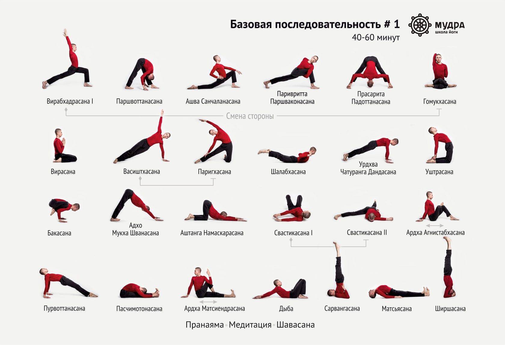 Поза льва в йоге симхасана: как выполнять и что лечит – yogaveda.ru