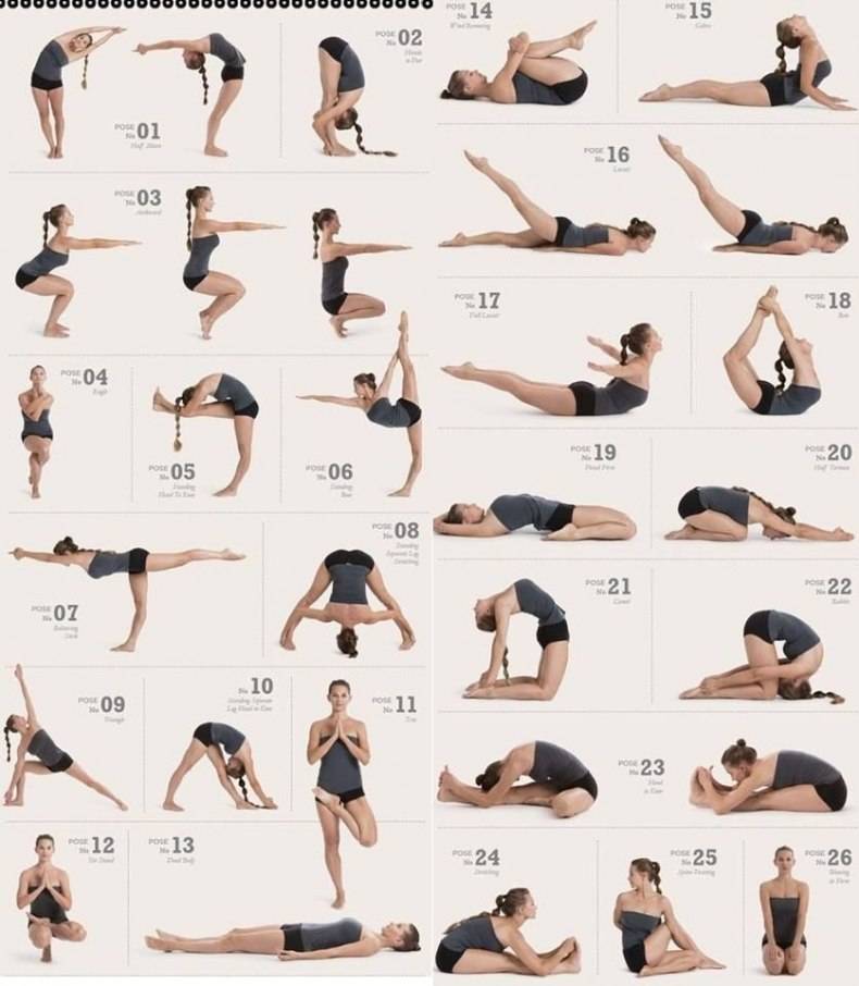 Позы йоги для начинающих