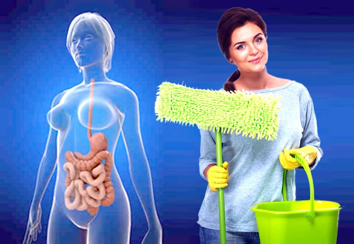 Топ 10 способов очистки организма от шлаков и токсинов в домашних условиях