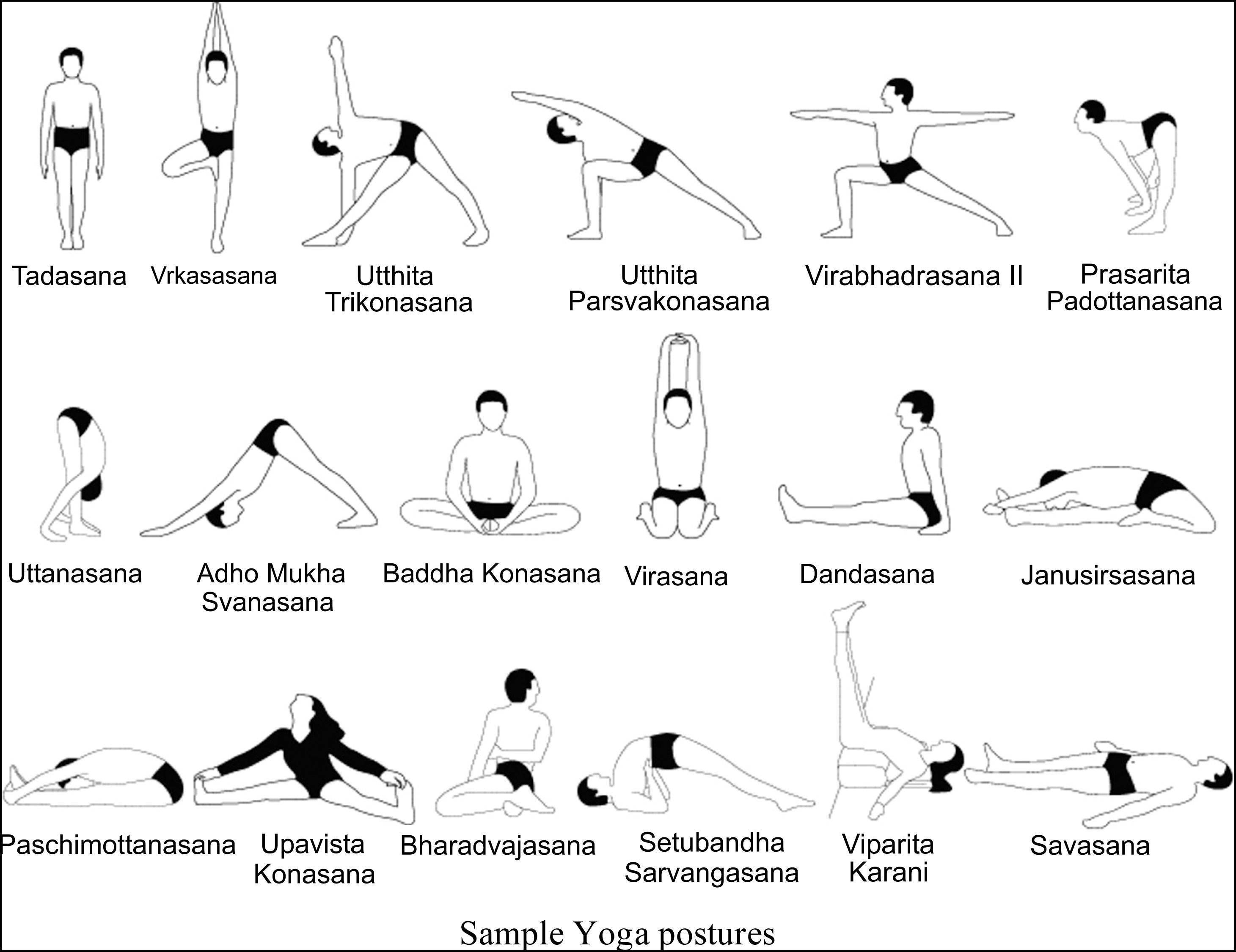 Йога 23 андрея сидерского: что это такое, а также комплексы упражнений для начинающих - йога-оздоровление