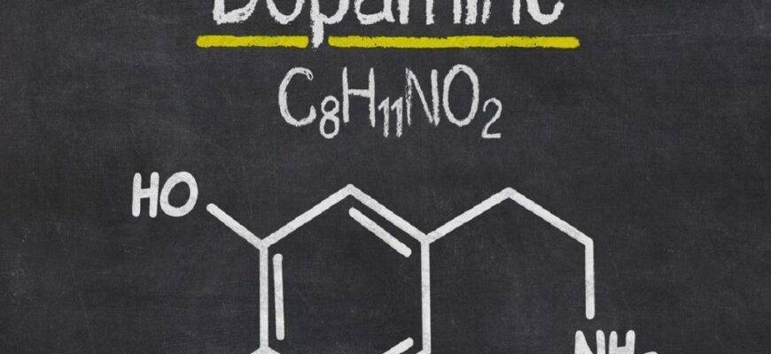 Что такое дофаминовое голодание и чего можно добиться с его помощью