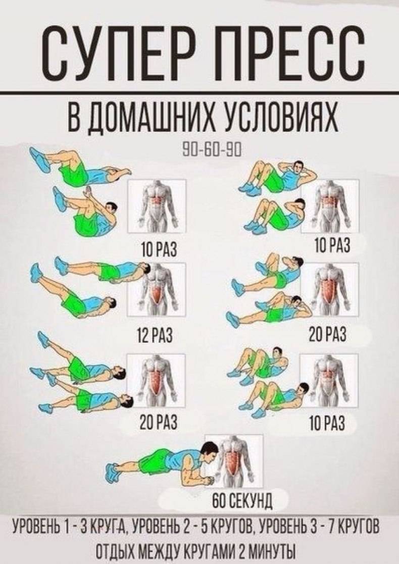 Программы и упражнения для тренировки пресса | rulebody.ru — правила тела