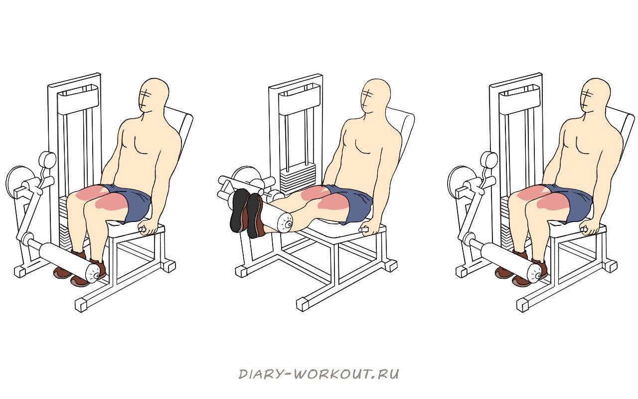 Разгибание/сгибание ног в тренажере сидя, лежа, в станке. упражнение, техника выполнения, какие мышцы работают