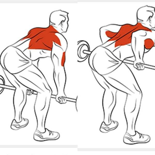 10 стратегий тренировки для развития широкой спины