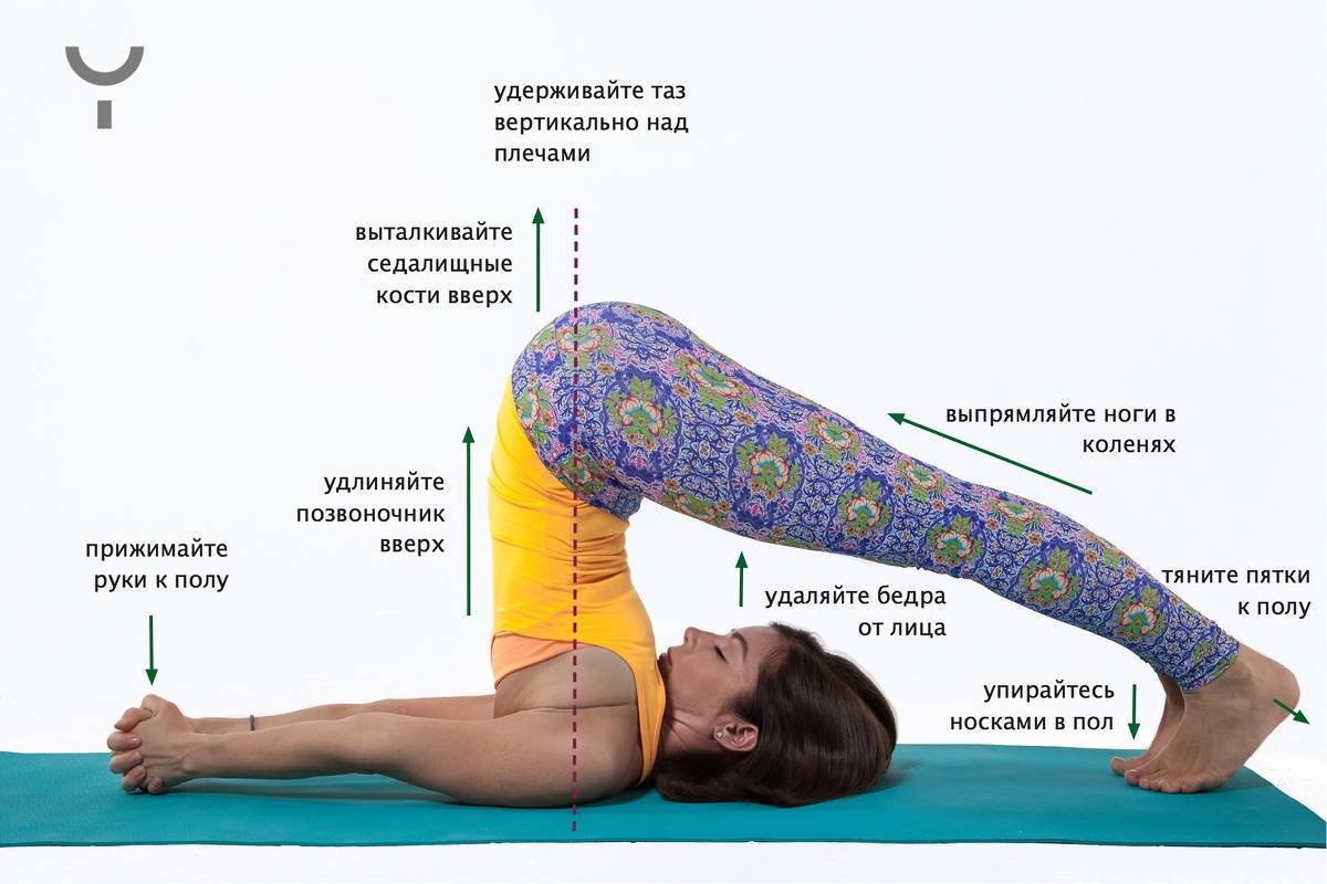Сарвангасана — поза березки в йоге или стойка на плечах