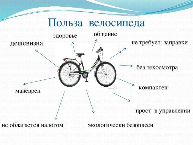 Базовые рекомендации по выбору велосипеда для начинающих: типы велосипеда и особенности подбора велосипеда по росту