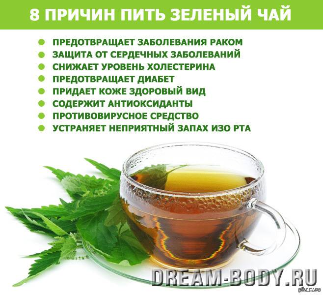 Чем полезен зеленый чай — 8 свойств для здоровья человека