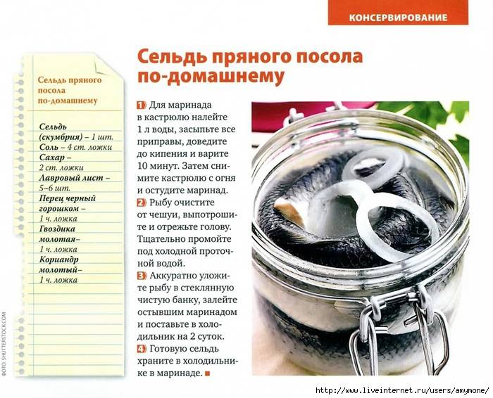 Как засолить горбушу в домашних условиях - вкусно и быстро под семгу: рецепты с фото