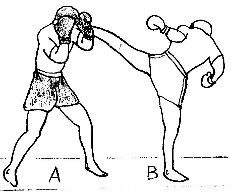 Виды и названия ударов в тайском боксе и муай тай