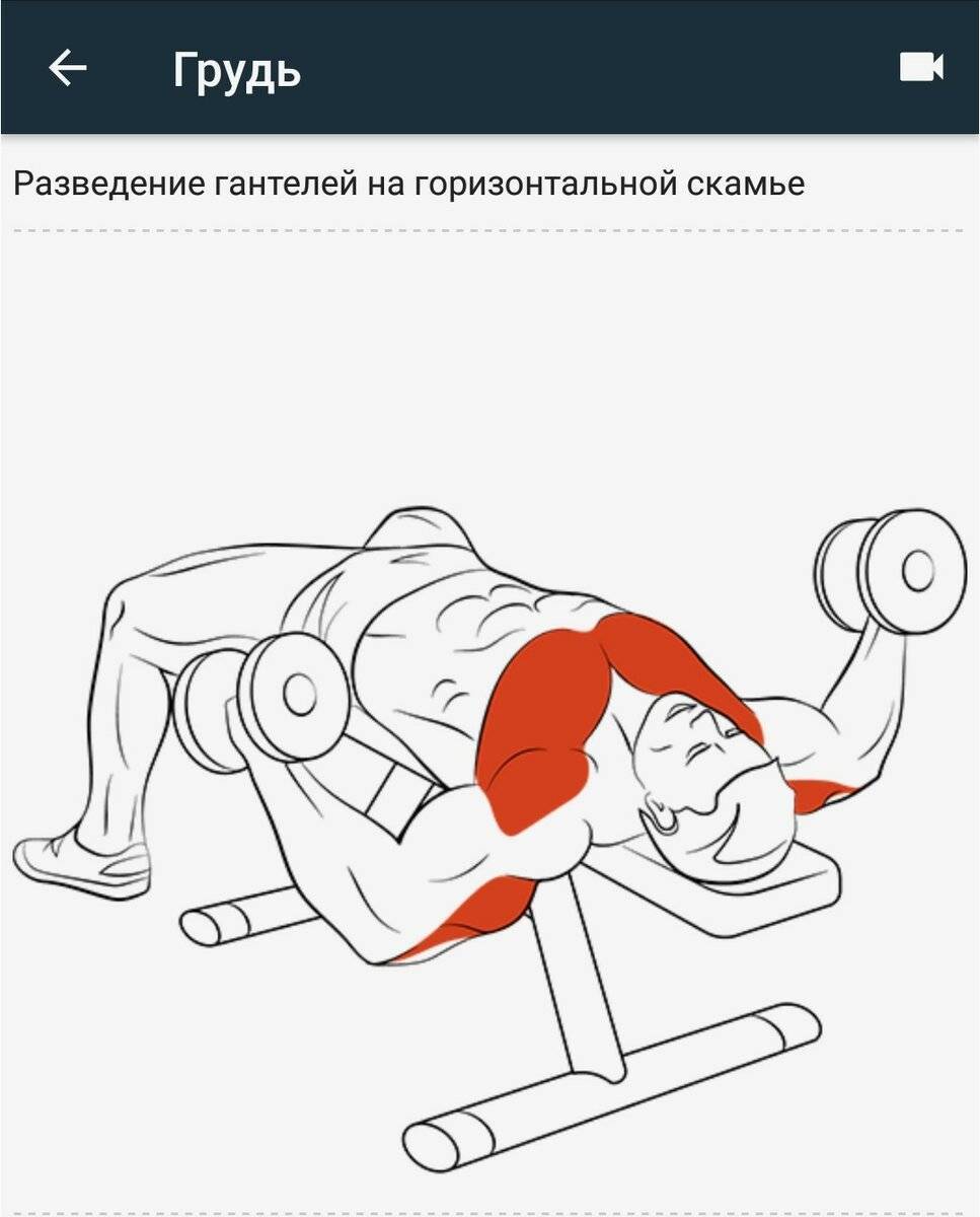Разводка гантелей на наклонной скамье: пособие для новичков и профессионалов | rulebody.ru — правила тела