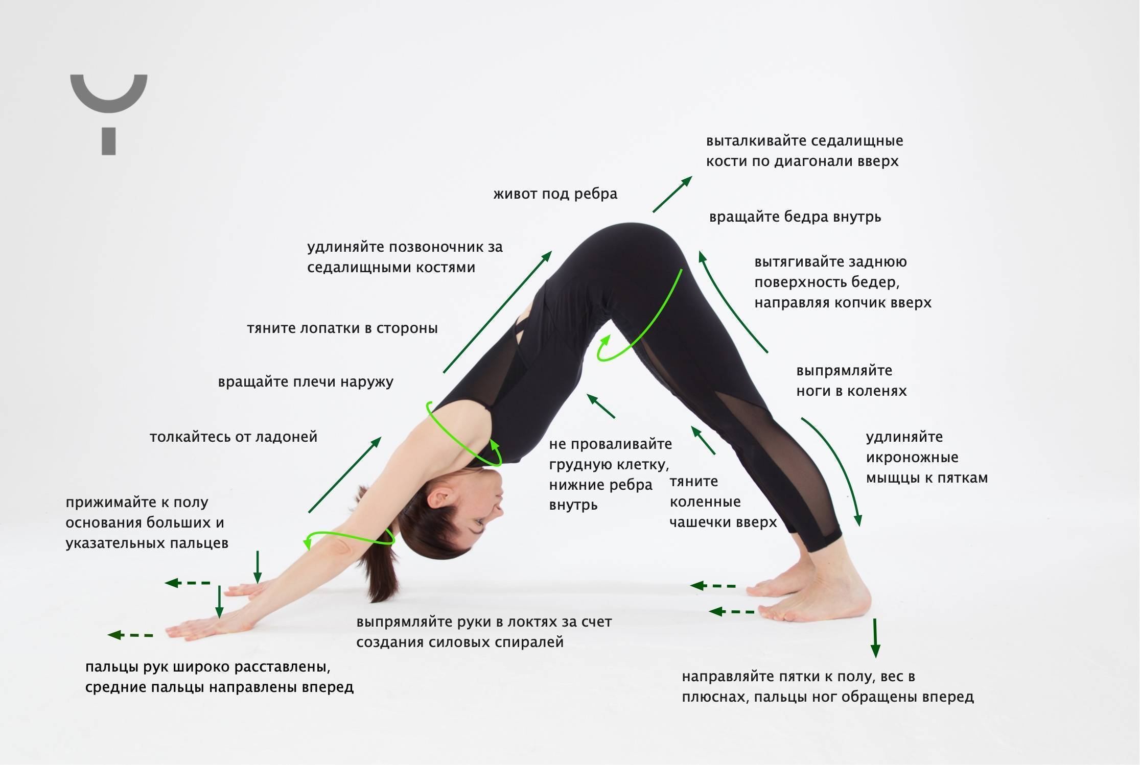 Утренняя йога: утренняя йога для начинающих, утренние асаны