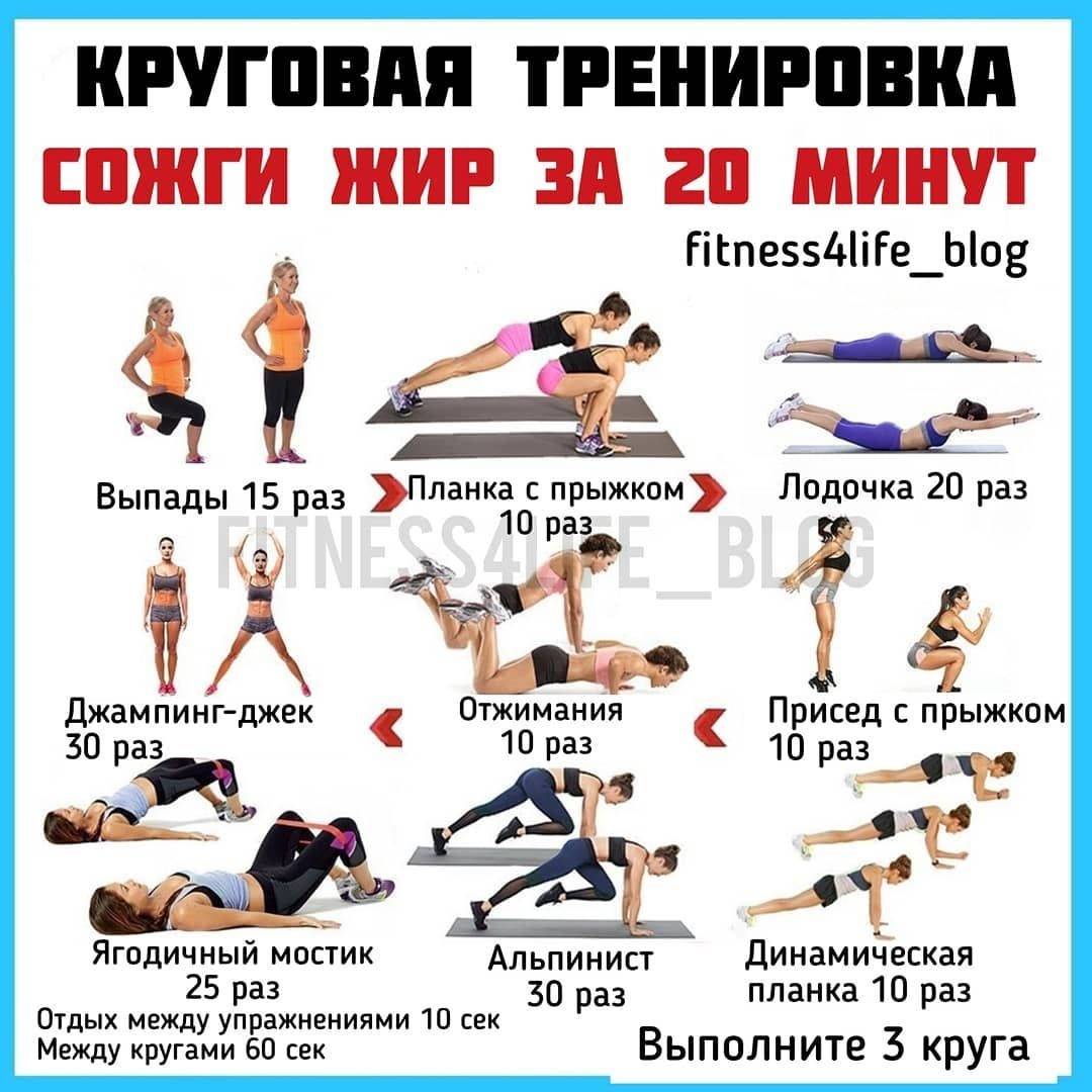 Круговые тренировки для девушек дома и в тренажерном зале | rulebody.ru — правила тела