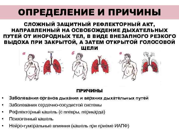 Лечебная гимнастика при астме | университетская клиника