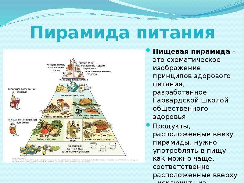 Из чего состоит пирамида здорового питания?