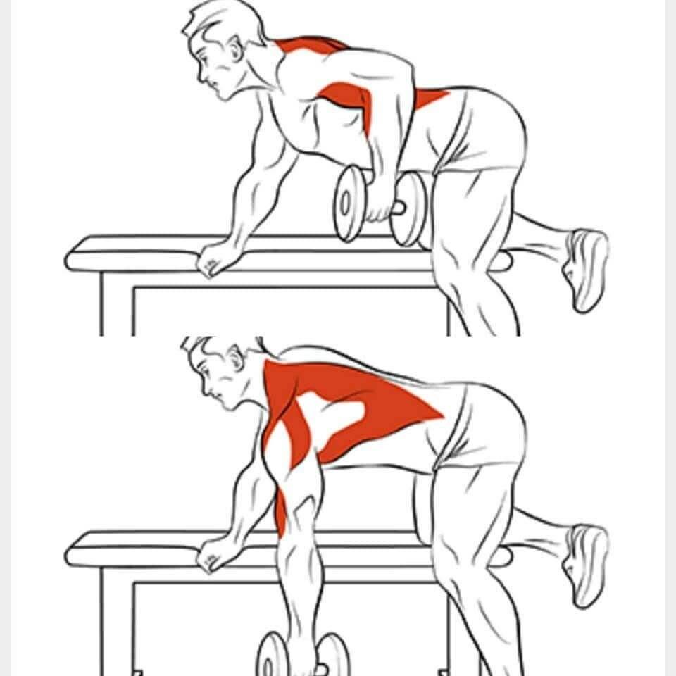 Как накачать широкую спину?