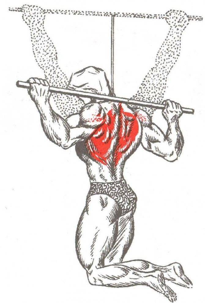 Подтягивания узким хватом: эффективная тренировка бицепса и спины, правила и техника выполнения упражнения, комплексная программа для проработки мышц и советы тренеров