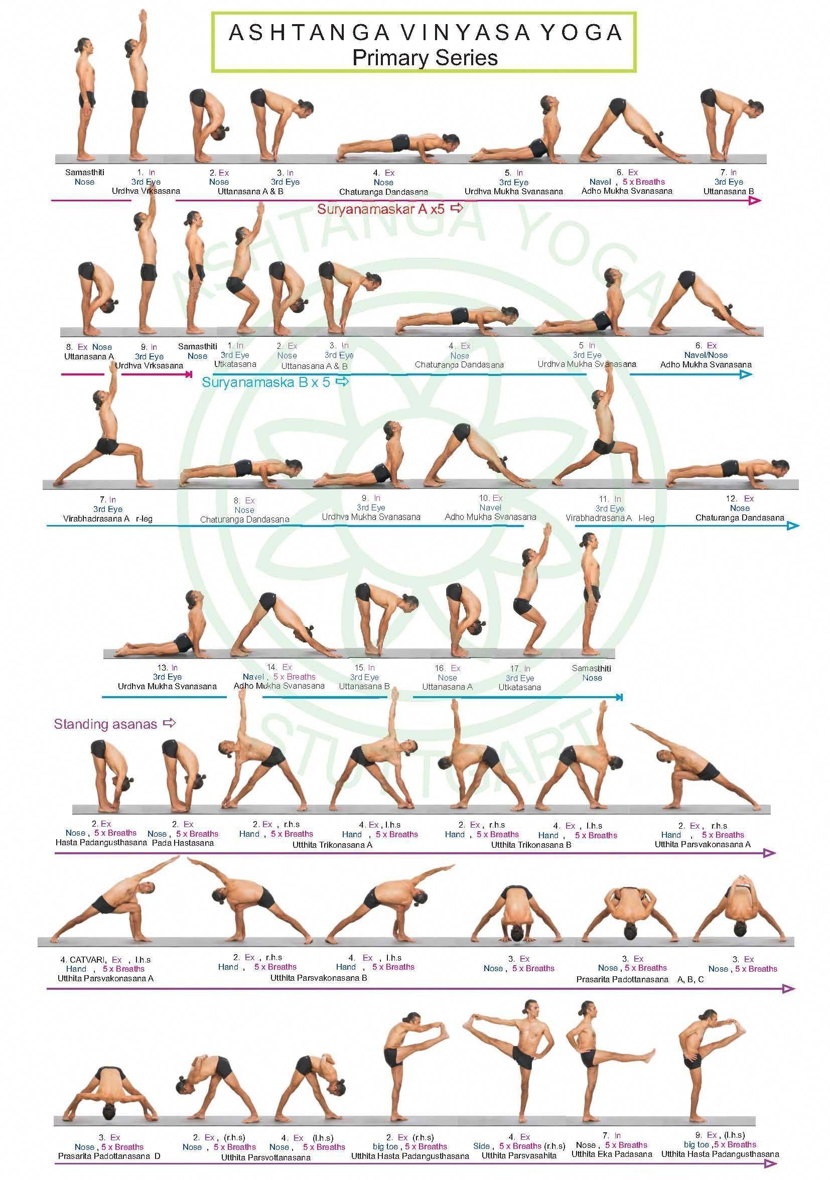 Направления йоги - стили и разновидности