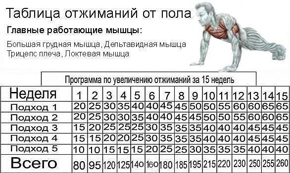 Программы тренировок отжиманий от пола для начинающих и профессионалов | rulebody.ru — правила тела