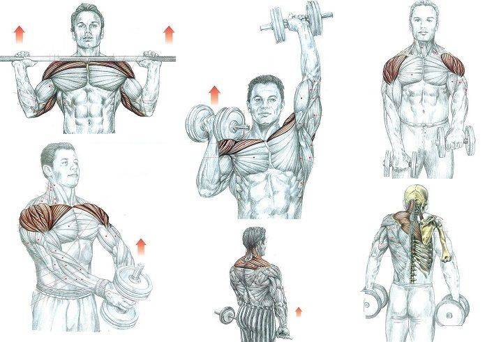 Как накачать внутреннюю часть грудных мышц?