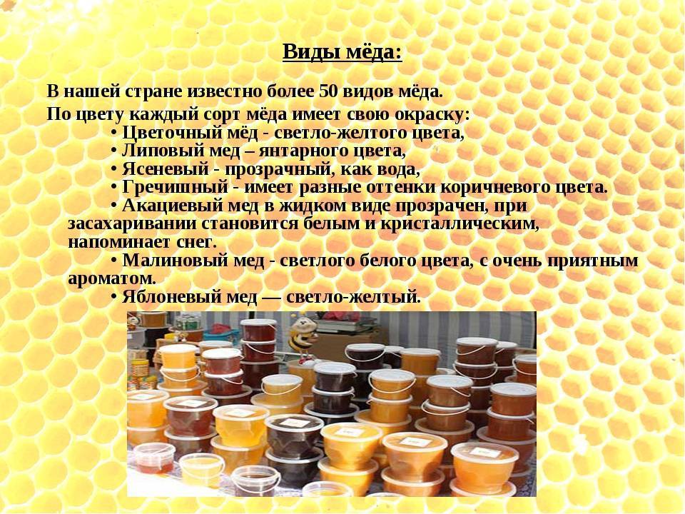 7 видов меда и их характеристики: от гречишного до падевого - новости yellmed.ru