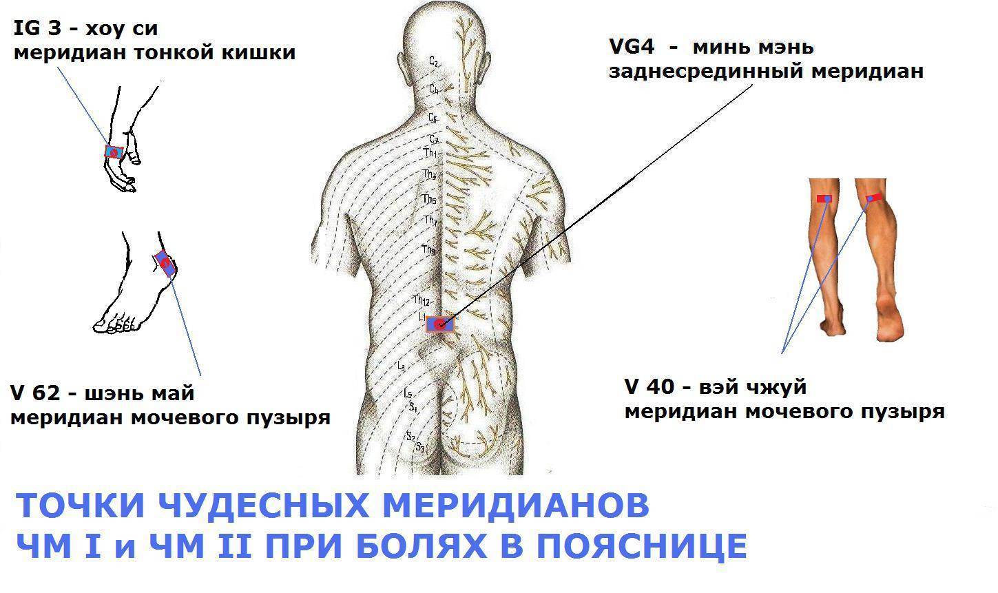Массаж спины и поясницы, причины болей в спине, рекомендации и противопоказания к процедуре. техника выполнения движений.