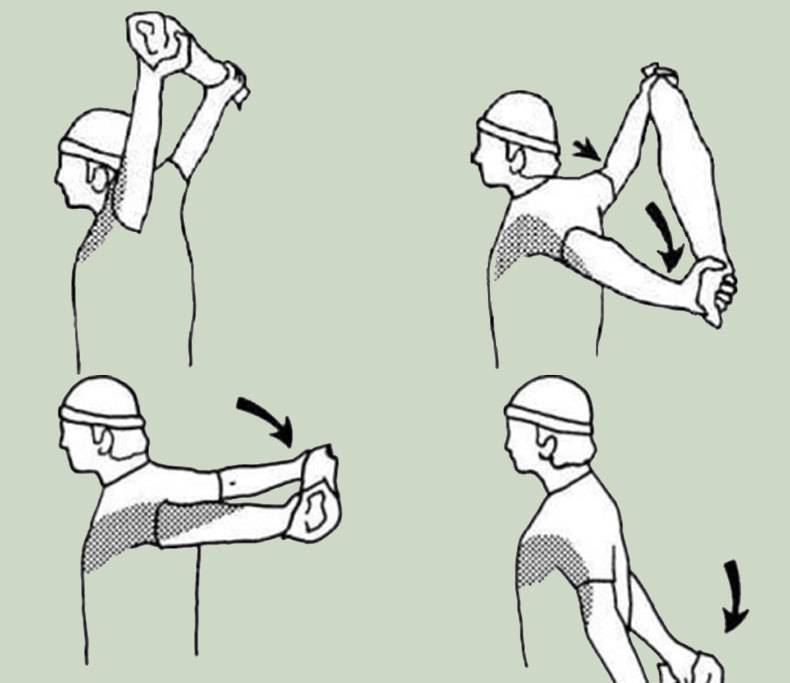 12 упражнений для рук с гантелями и не только - избавляемся от дряблости рук за 20 минут в день