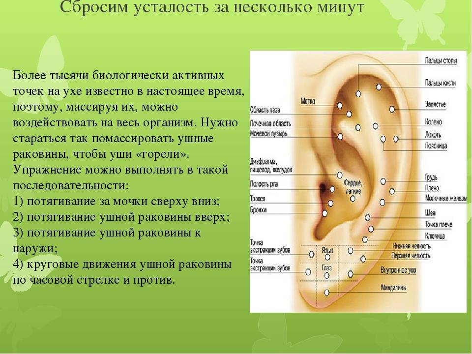 Массаж ушей для улучшения слуха при тугоухости и шуме в ушах