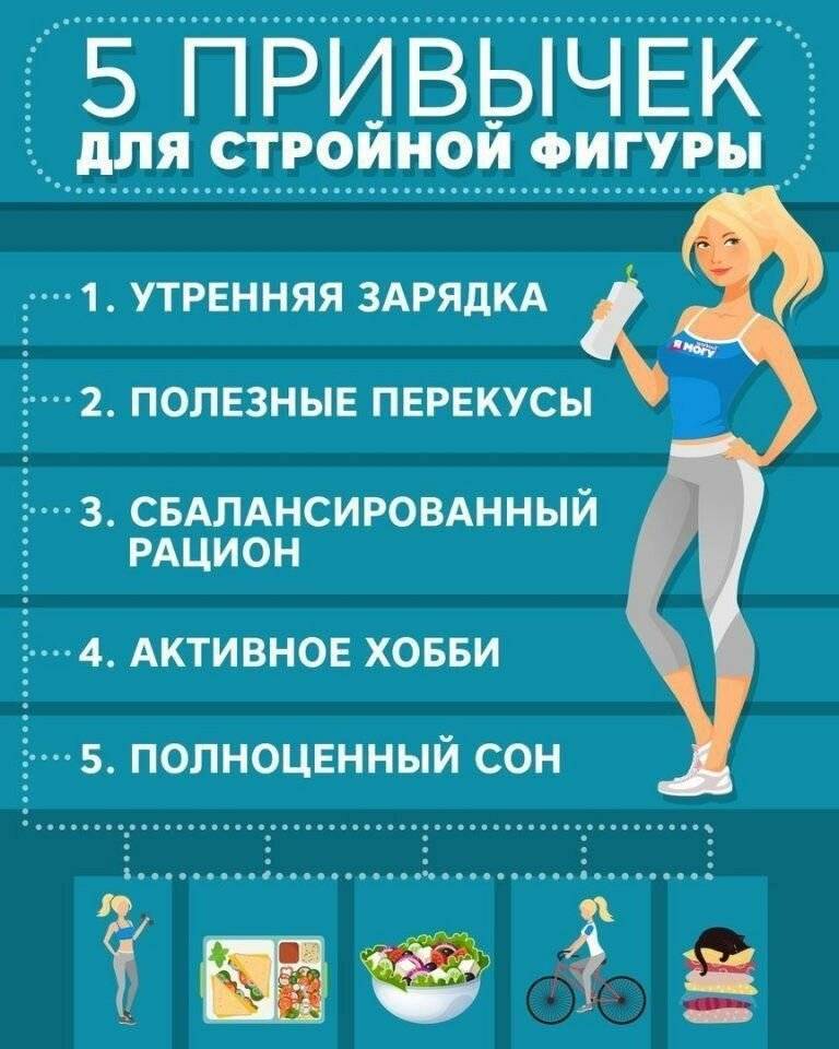 Полезные привычки человека. вредные и полезные привычки :: syl.ru