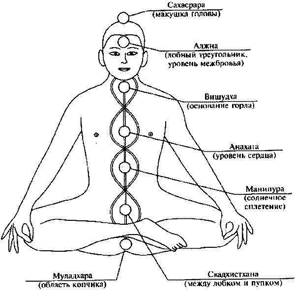 Йога для открытия чакр: асаны для чакр, упражнения для чакр и позы йоги