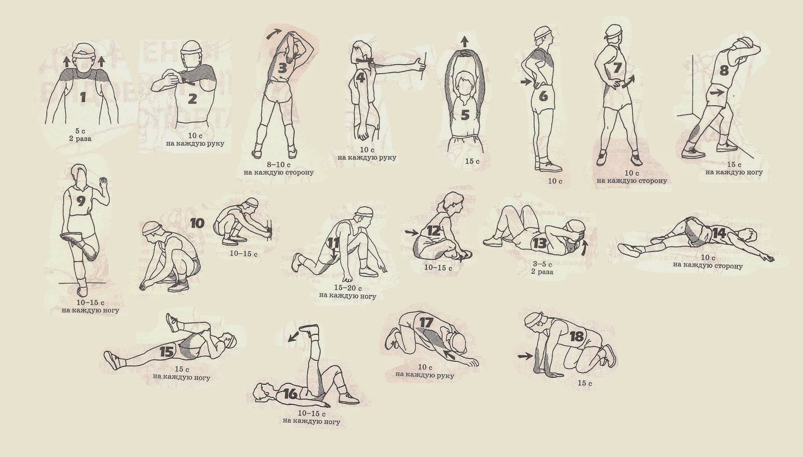 Разминка перед тренировкой | упражнения для растяжки и разминки