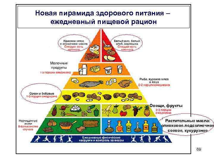 Пищевая пирамида питания здорового, правильного для похудения в процентах, с помощью руки. фото